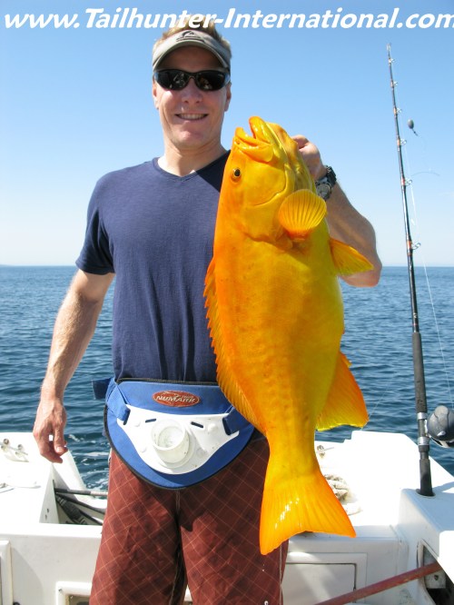 A beautiful Baja Golden Group for Chris Pallemaerts that he took fishing near Espirito Santo Island. In almost 16 years here in La Paz, I've only seen about 1/2 dozen of these beautiful fish taken. Great eating.