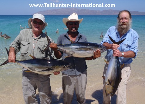 Jeff Rod Brown Jorge tags 10-11