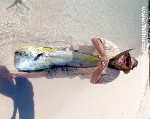 Richard Miles dorado tags 10-11