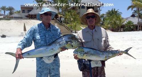 dorado Rick barry Gary Wagner 5-12