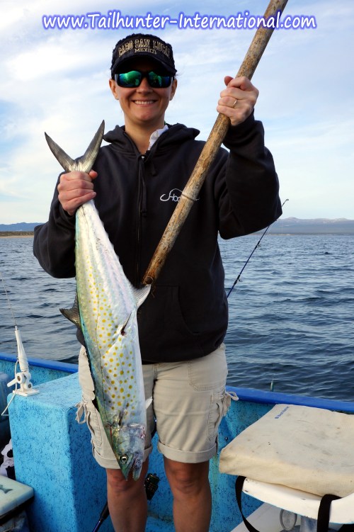 cristina ainsworth sierra 12-12 tags