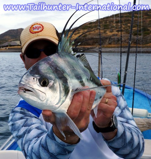 mike ainsworth tags rooster 12-12