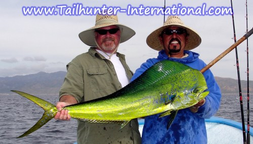 tags tim zimmer 12-12 dorado