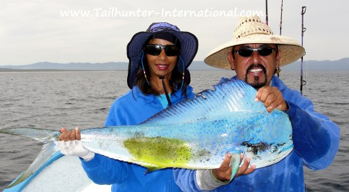 verda tags dorado jorge 12-12