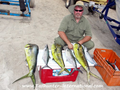 zimmer tags dorado sierra 12-12