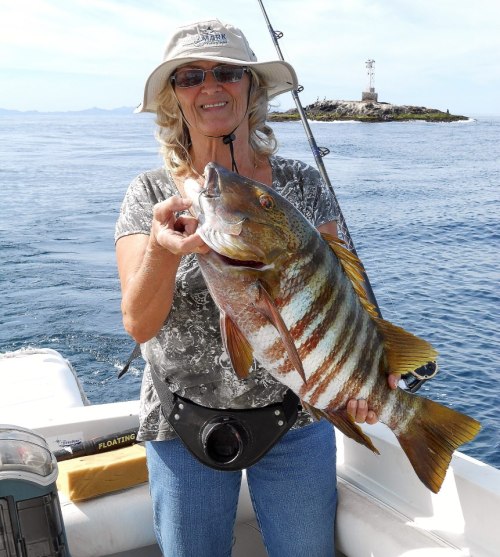 282836_4584439841262_331273039_n