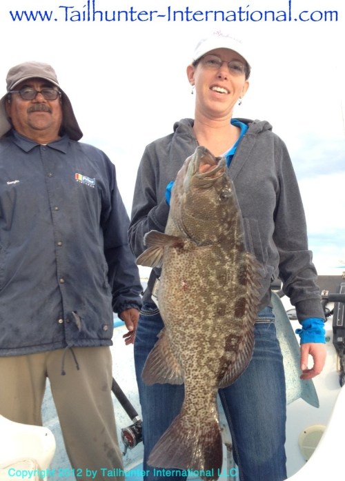 cabrilla ashley tags-proc