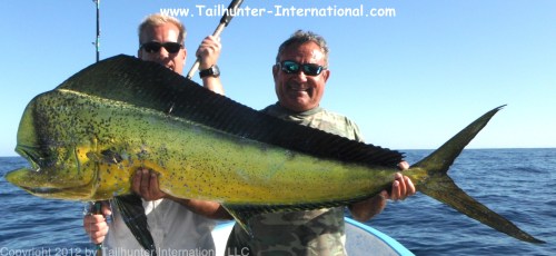 Dorado fernando Wayne Jarrett tags