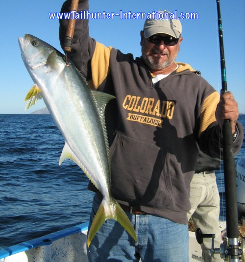 JUREL EN BOCA DEL ALAMO 2013 yellowtail tags copy