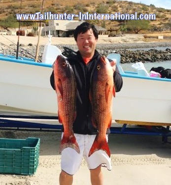 Kamon pargo 12-12 tags