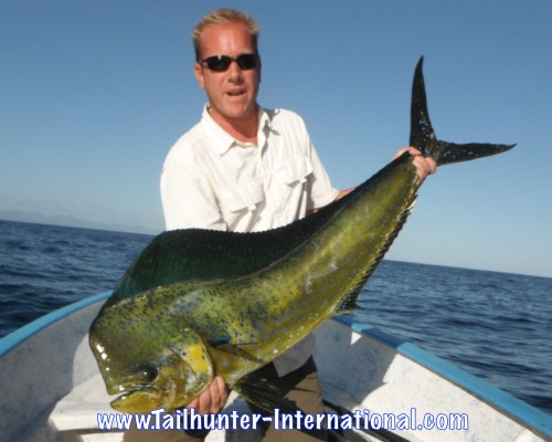 Wayne Jarrett dorado tags 1