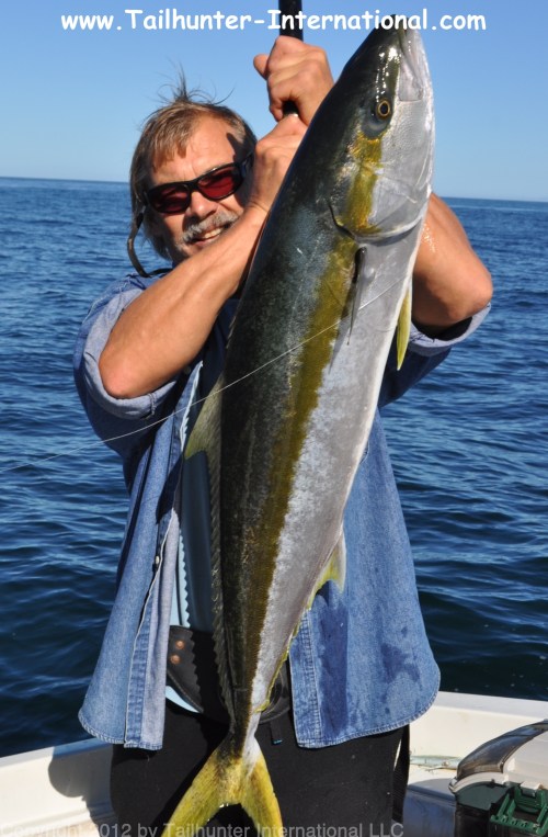 yellowtail Joel Zarmati tags