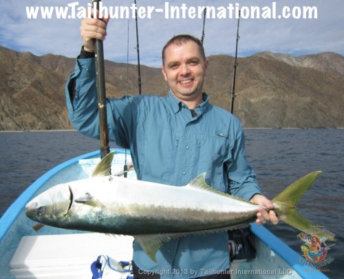 Brian sabiki yellowtail-proc tags 3-13