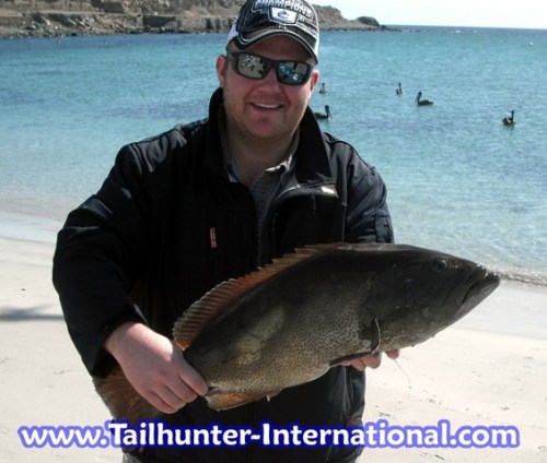 cabrilla matt lewis tag 12-11