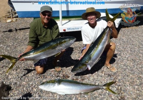 Gary Morris and Graham yellowtail tags 2-13