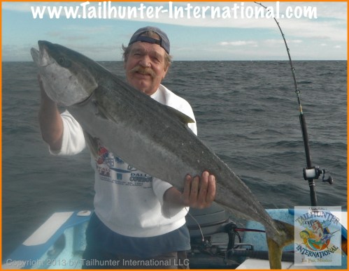 Hawk Yellowtai 1-proc