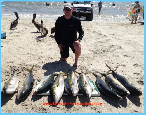 yellowtail darrell rogers 2-13