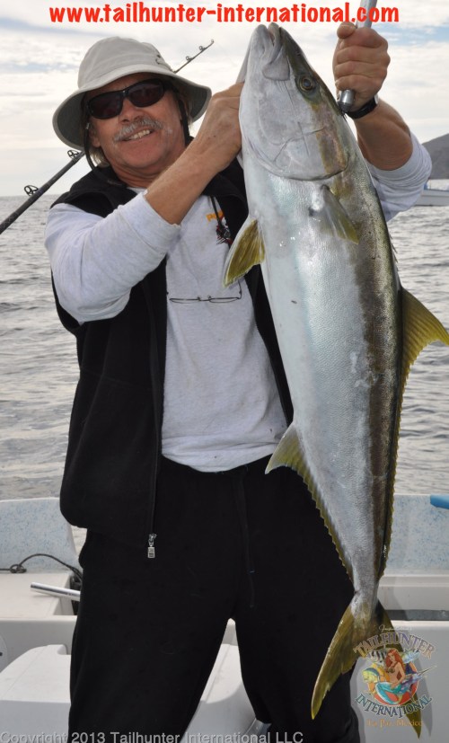 yellowtail joel zarmati tags 2-13