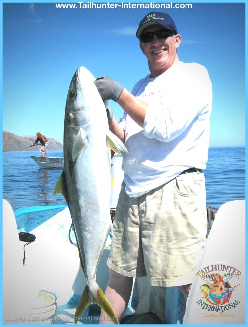 Flippin yellowtail 3 tags 3-13