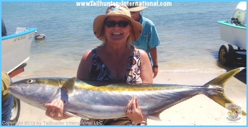 Rena hunley 3-13 yellowtail 1tags