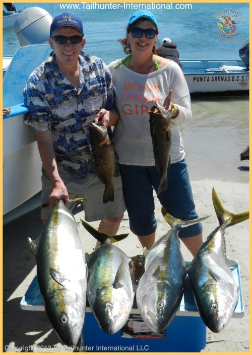 yellowtail art debbie tags 3-13