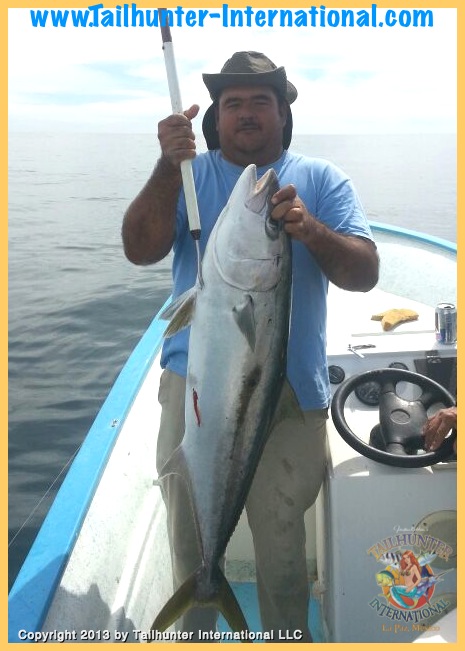 yellowtail gerardo tags 2-13