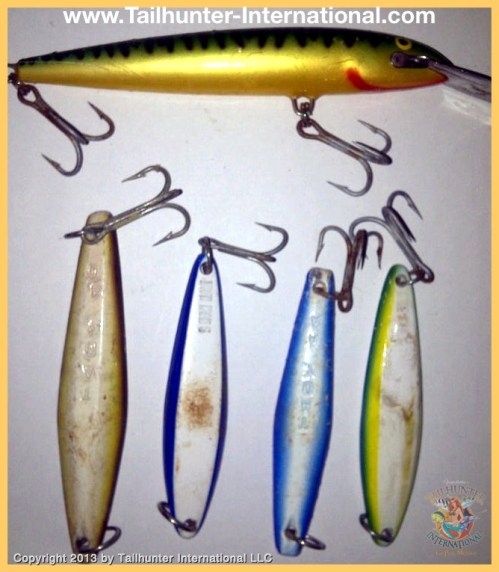 Yellowtail jigs