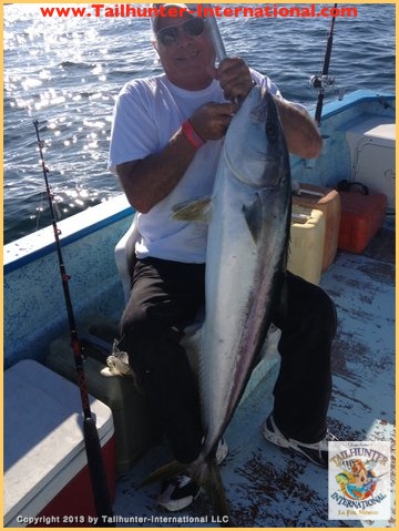 yellowtail tags cavelini 3-13