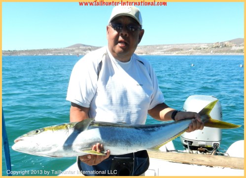 Bill Fong Yellowtail tags 4-13