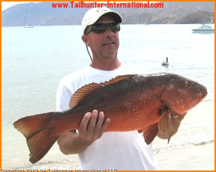 Bob Patterson dog tooth pargo tags 4-13-proc