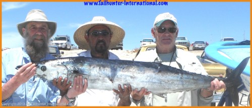 Brown wahoo 4-13  tags