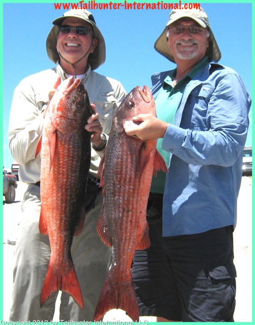 Dale van Dellen and Don Goglia pargo 4-13