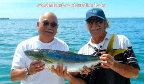 DENNIS FUJII TAGS YELLOWTAIL ALFREDO 4-13