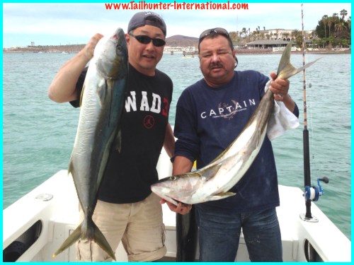 Gavin Boli yellowtail 4-13