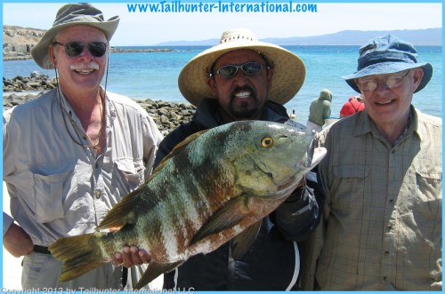 pargo hank fiola cal lambert tags 4-13