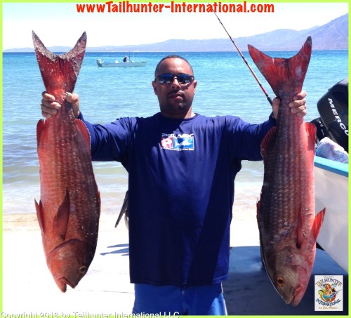 pargo kwame tags 4-13