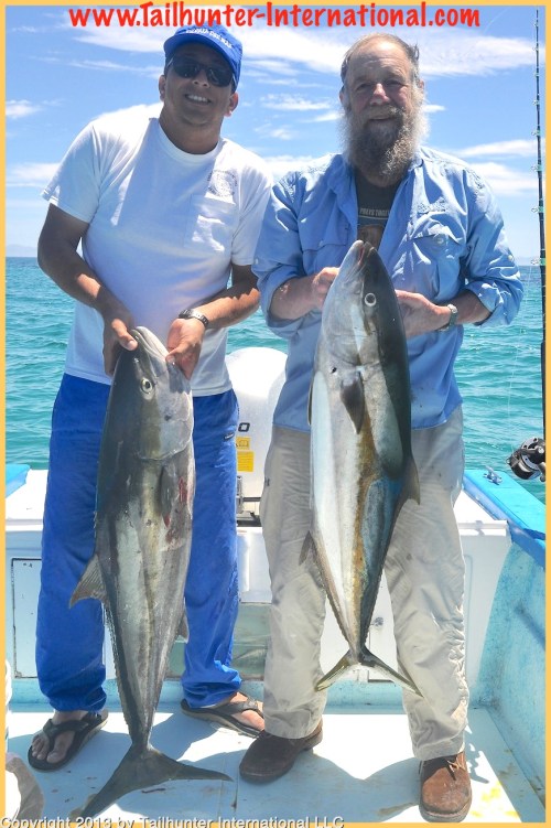 Rod brown yellowtail joel tags 4-13