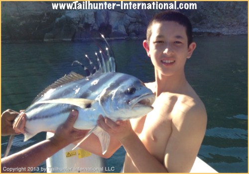 rooster James Chun tags 4-13