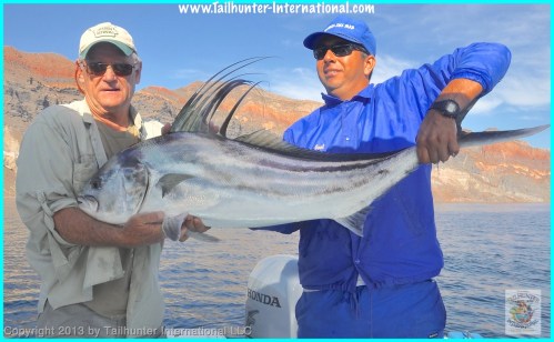 rooster tags joel jeff brown 4-13