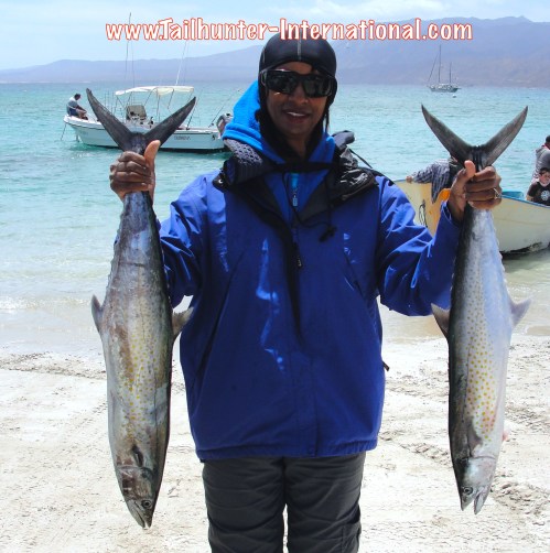 sierra verda tags 4-13