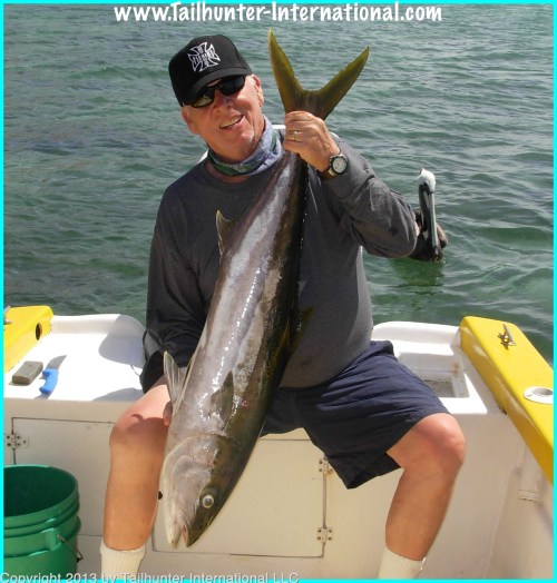 Steve's Yellowtail tags 4-13