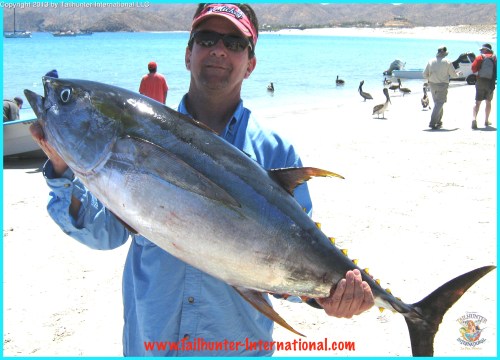 tuna ken gragg 4-13 tags