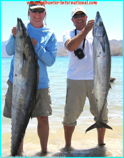 wahoo bruce bob patterson tags 4-13