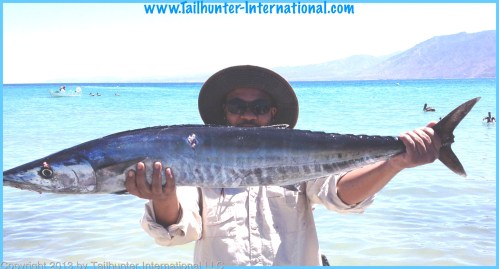 wahoo tags russell 4-13