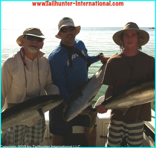 yellowtail garbuz tags 4-13