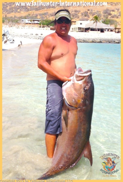 amber chino 3 5-13 tags