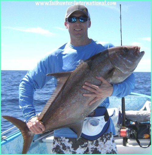 Amberjack 2-Dover 5-13-tags