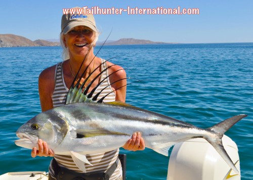 Laurie Reynolds rooster tags edit 5-13