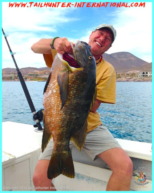 pargo 1 ziggy 5-13-tags