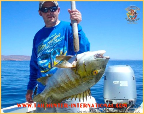Andrew McCormick pulled up this fat barred pargo near Espirito Santo Island working a live bait near the rocks.  Great eating fish!  Andrew is from the Portland OR area. 